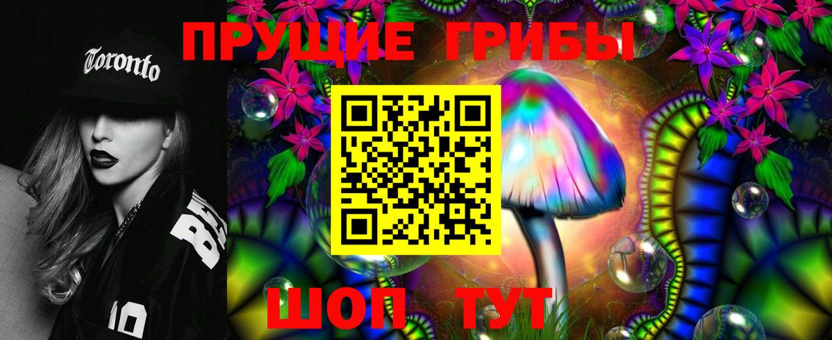 Псилоцибиновые грибы прущие грибы Дедовск